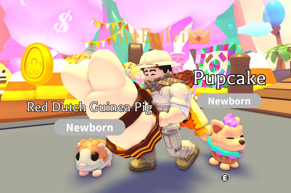 TheBulvi's tweet image. I got the Red Dutch Guinea Pig..
Also this Choccybunny box is pretty cool looking
#legendary #adoptme #roblox