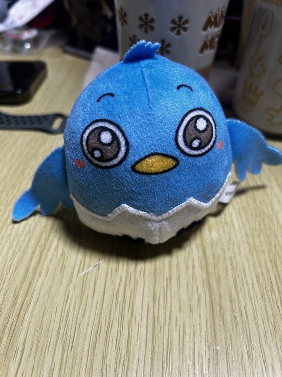 うちへようこそ、シナイドリちゃん
 #シナイ撮り