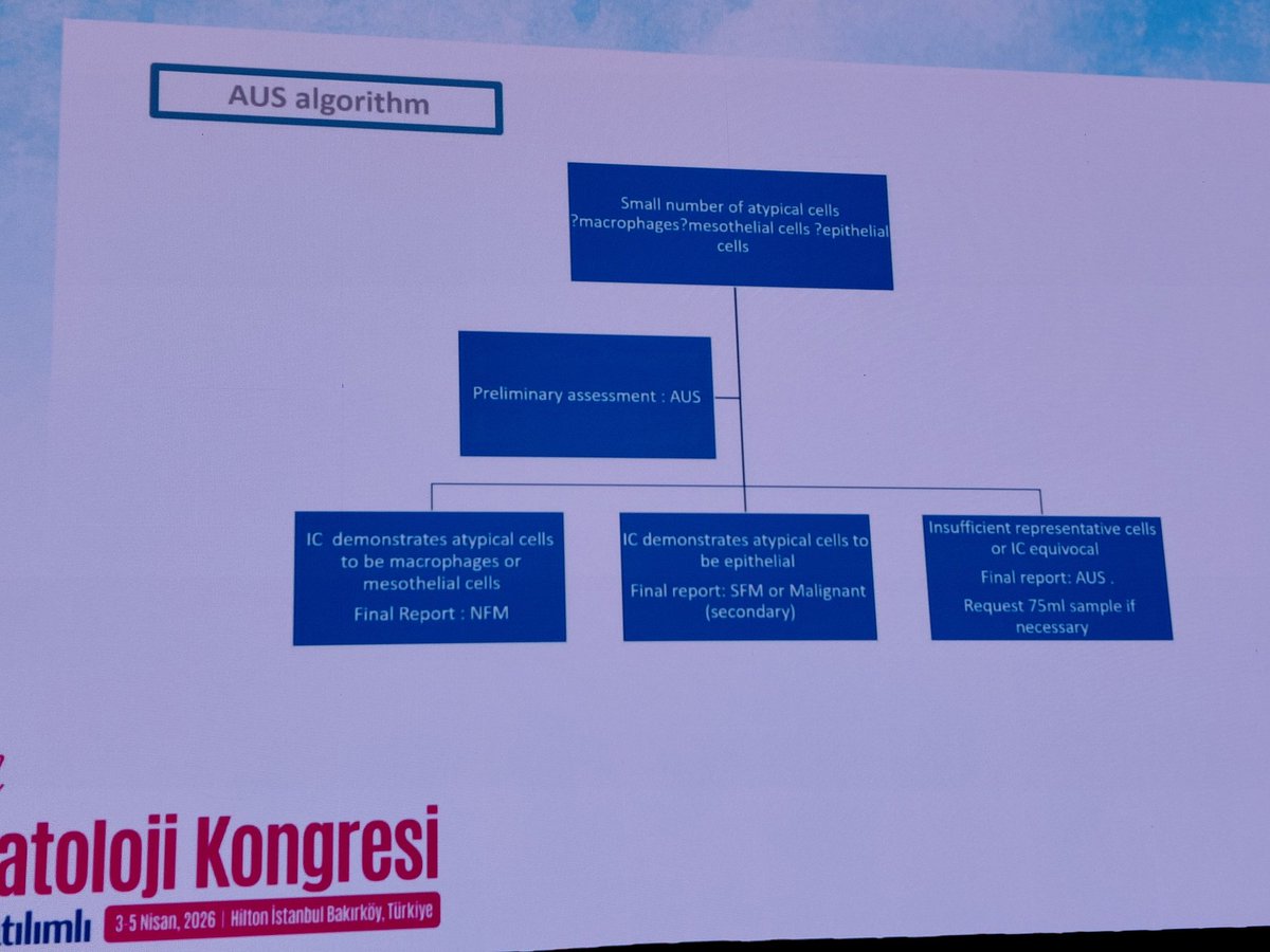 Christina Zioga tweet media