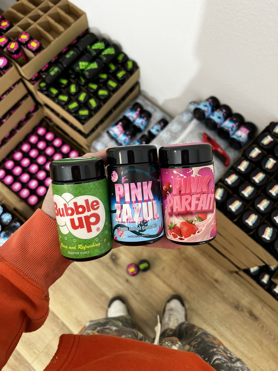 Goose @istaykushedup tweet media