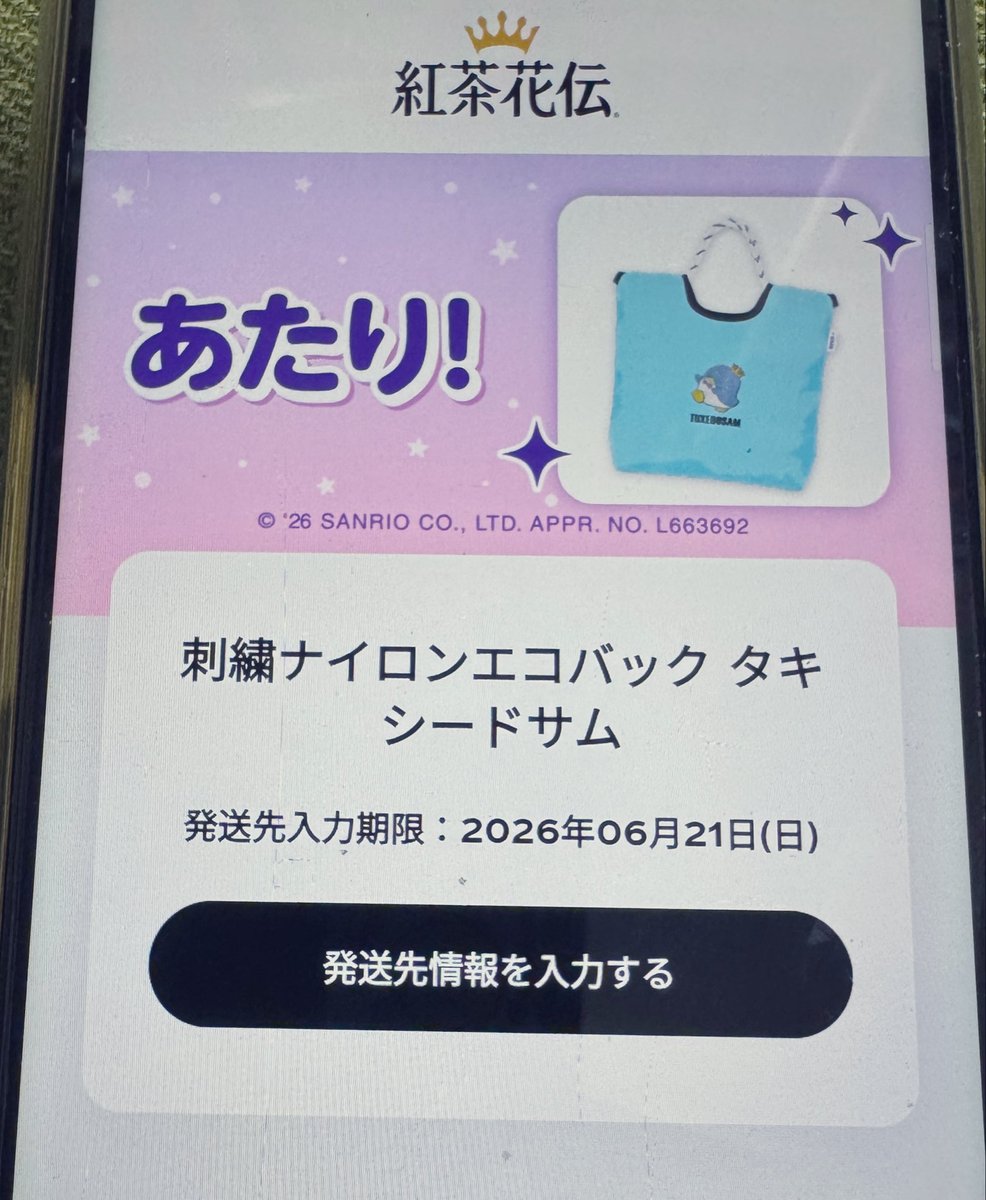 きょろ@ポイ活 tweet media