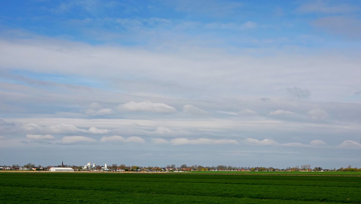 Ton Wesselius tweet media