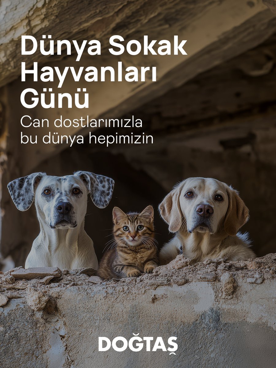 Doğtaş tweet media