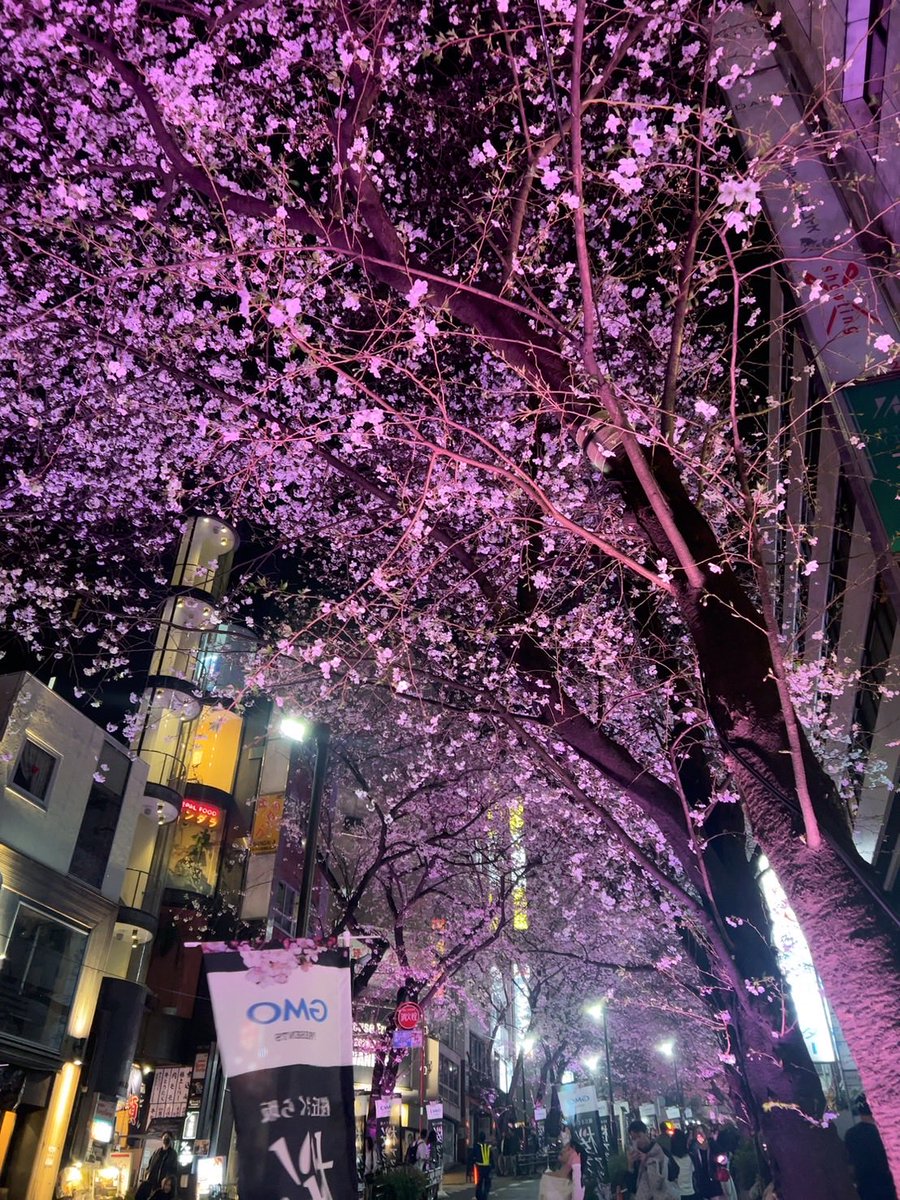 msms71608079's tweet photo. ベロベロでした😵‍💫
帰り寿司屋で揉めて情けない笑 https://t.co/QGlWSZToeA