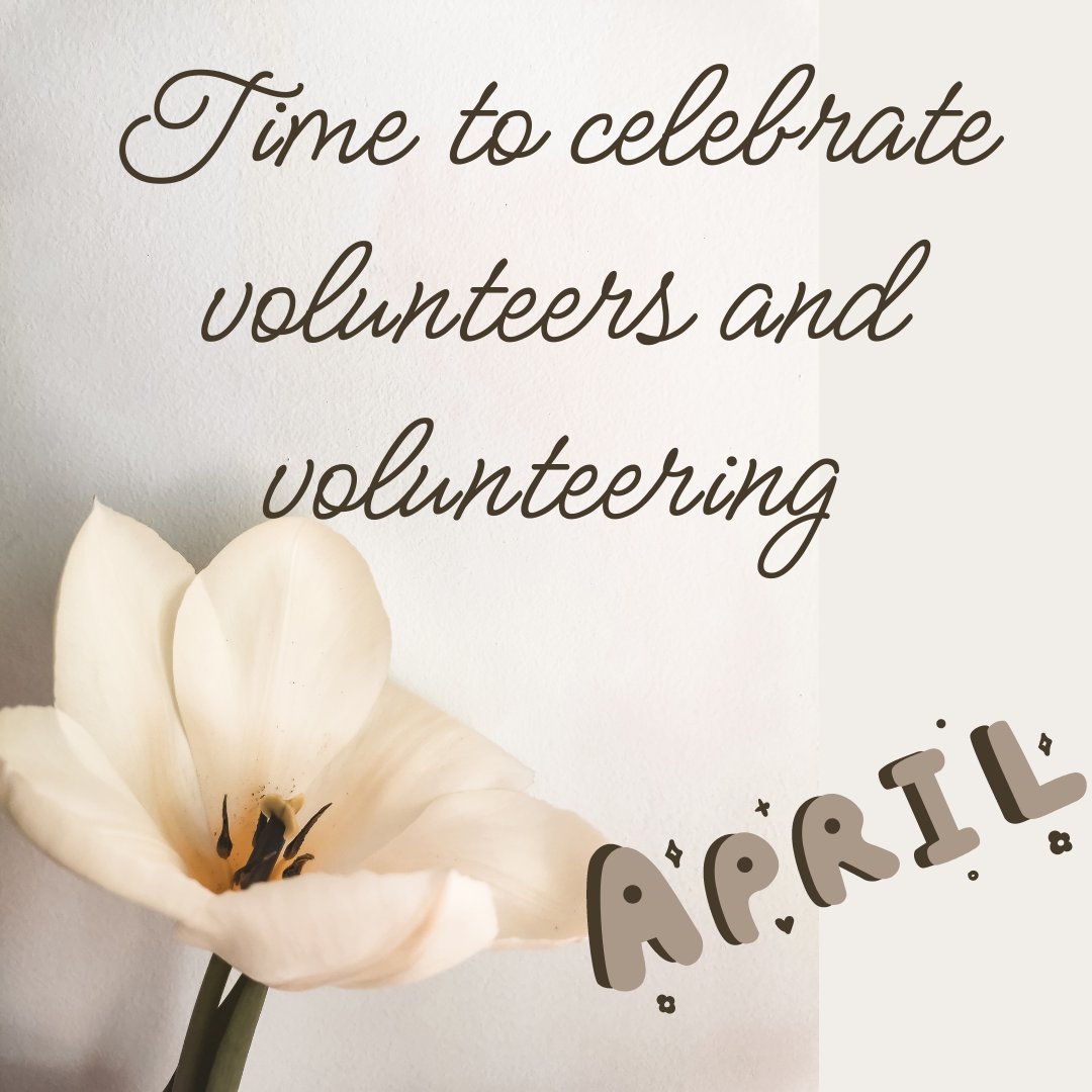 NortheastSpringboard tweet media