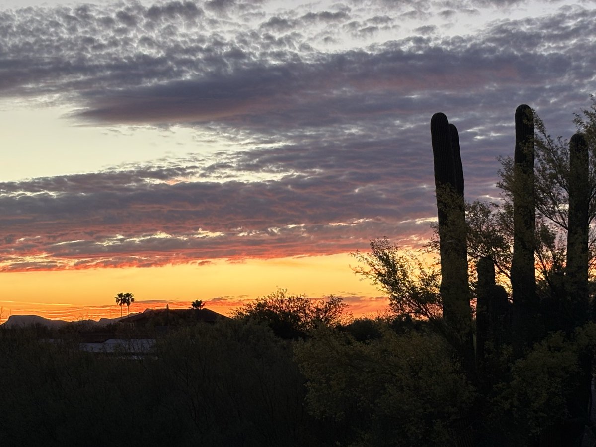 Not the best sunset by far, but this one was subtly beautiful. From my back porch…