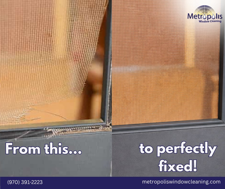 MetropolisWC's tweet image. Protect your home’s comfort and let fresh air in! 🌿 

Customized solutions to fit your needs and keep your screens in top shape.
📞 (970) 391-2223
🌐 metropoliswindowcleaning.com

#ScreenRepair #HomeComfort #PetResistantScreens #SolarScreens #WindowScreens