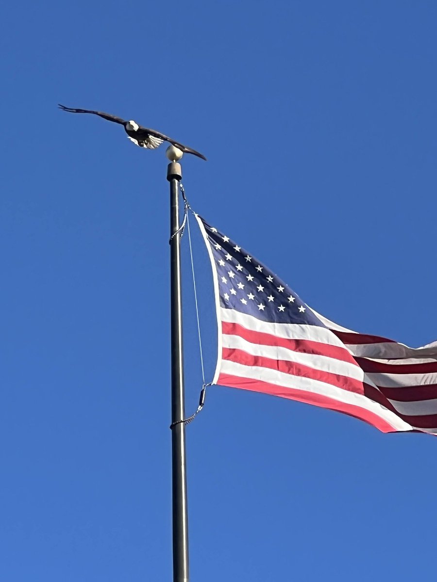 Bass Pro Shops tweet media