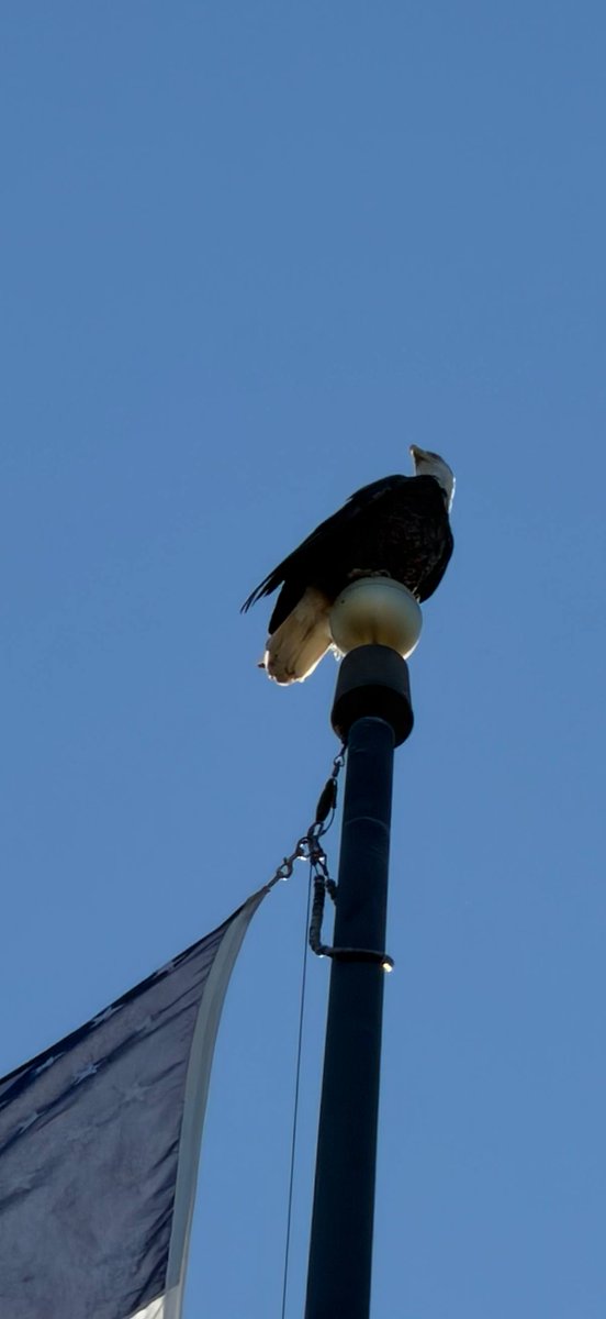 Bass Pro Shops tweet media