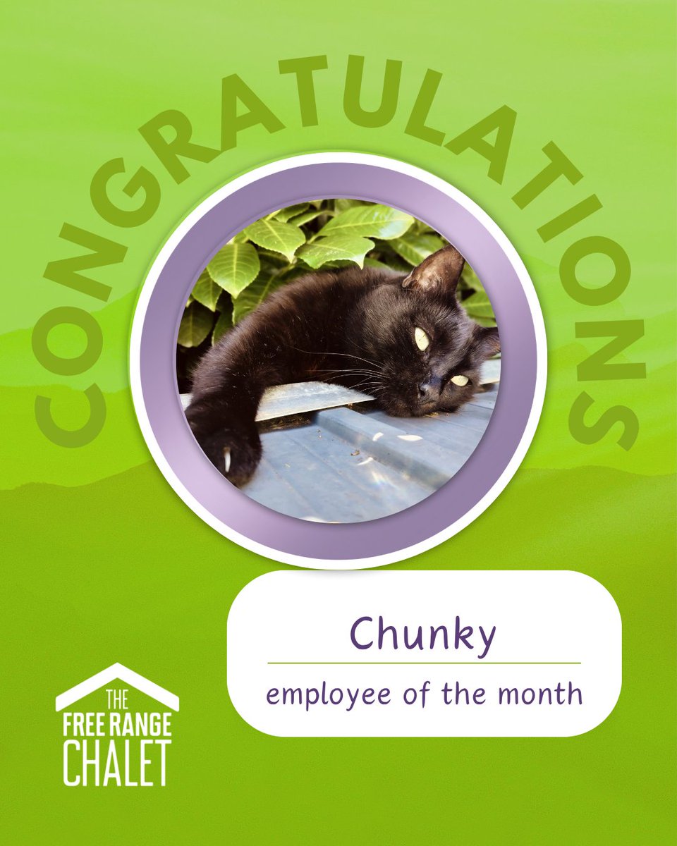 TheFreeRangeChalet tweet media