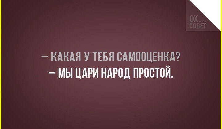 🐾Nadin tweet media