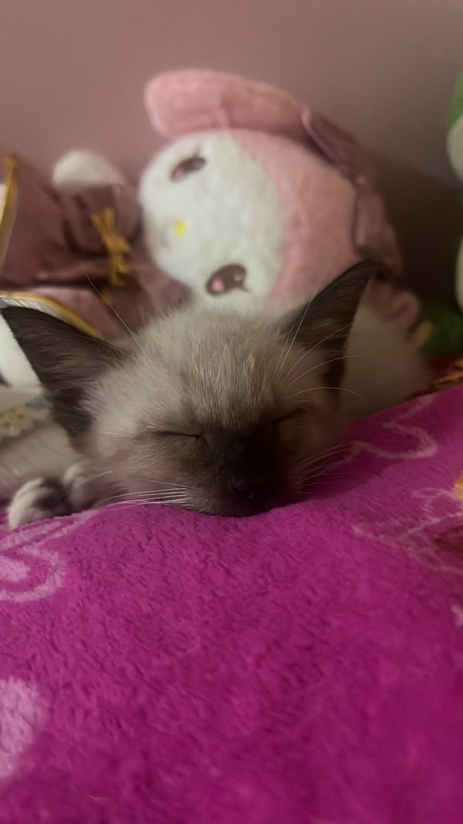 Launny123 tweet media