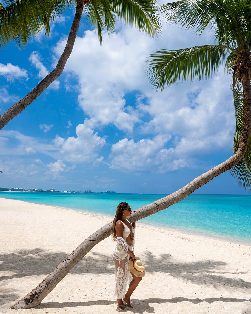 Cayman_Islands's tweet image. Experience Cayman’s spectacular beaches on your next vaCay. 

Add some coconut water for bonus vibes.

#CaymanIslands #TropicalVacation #TropicalVibes #WelcomeToVaCay