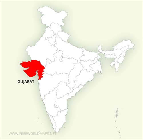 Gujarat Plus tweet media