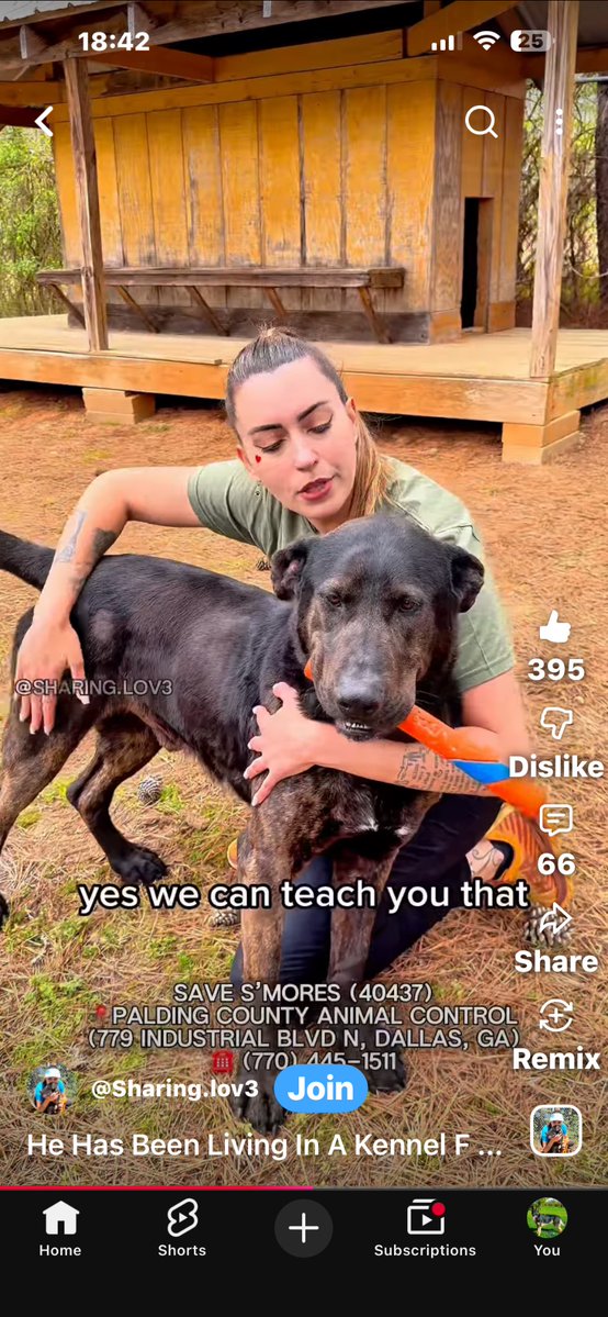 Fionaismybitch tweet media