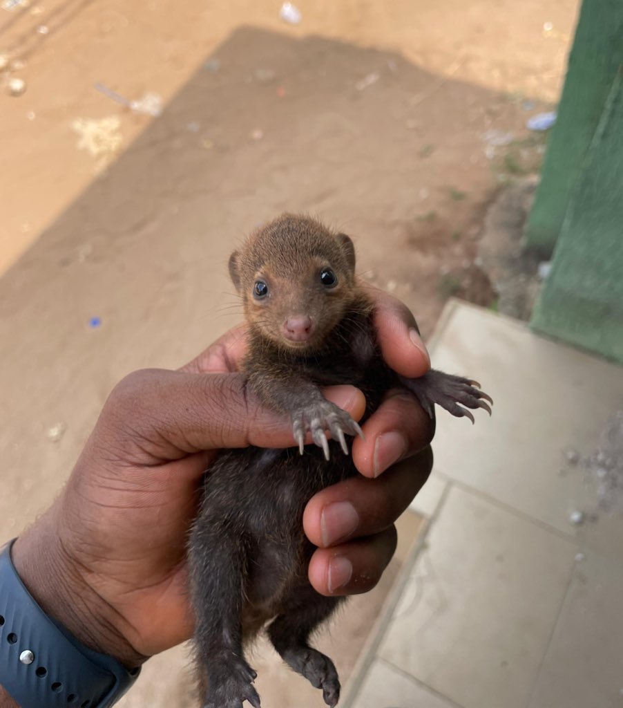 Riley 🌷 tweet media