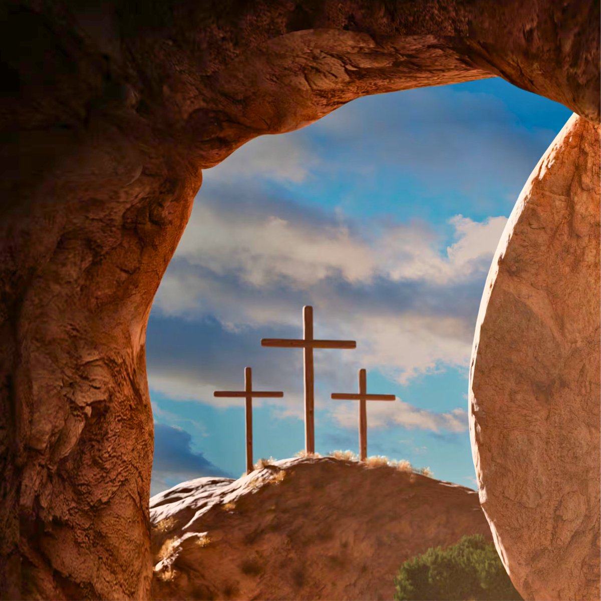 Sheri Biggs tweet media