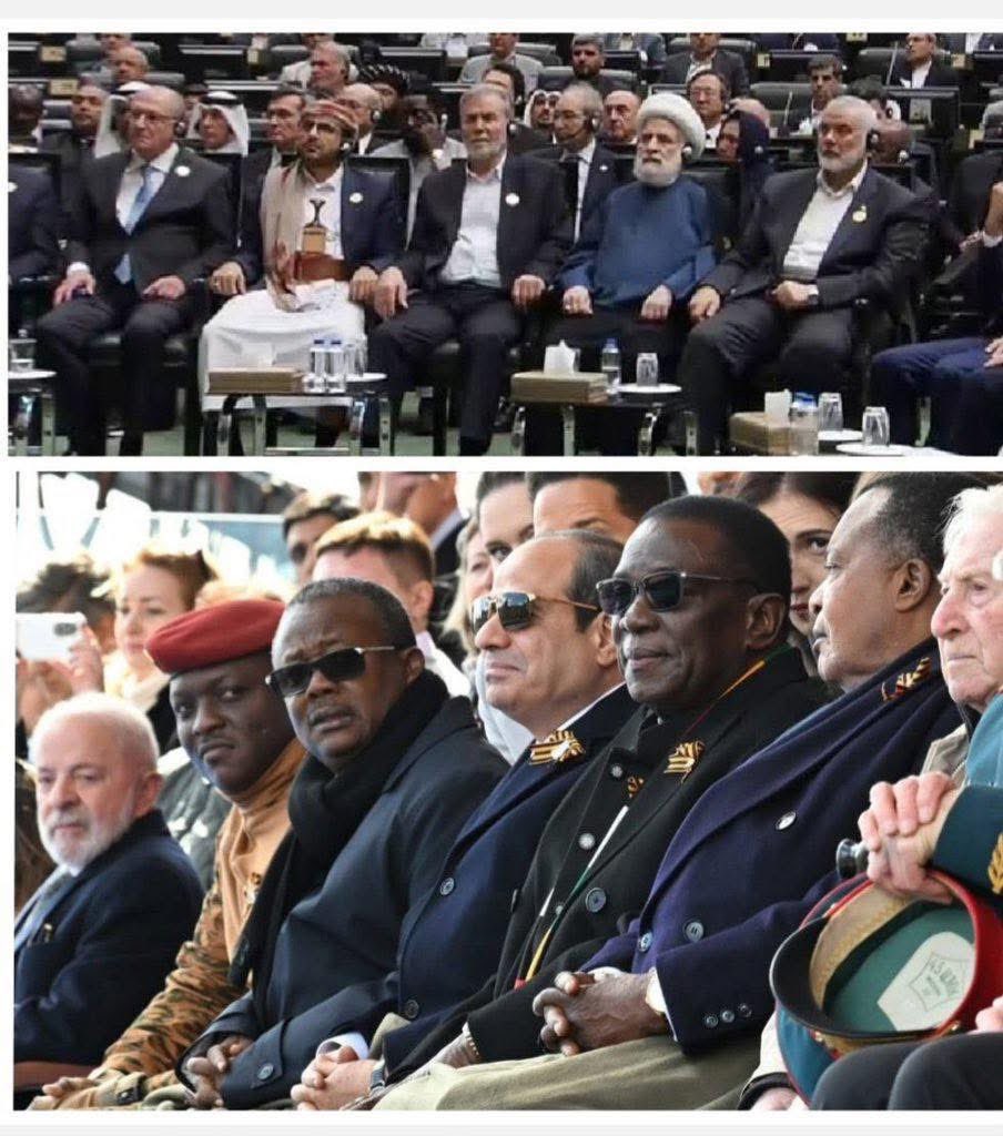 Patrícia tweet media