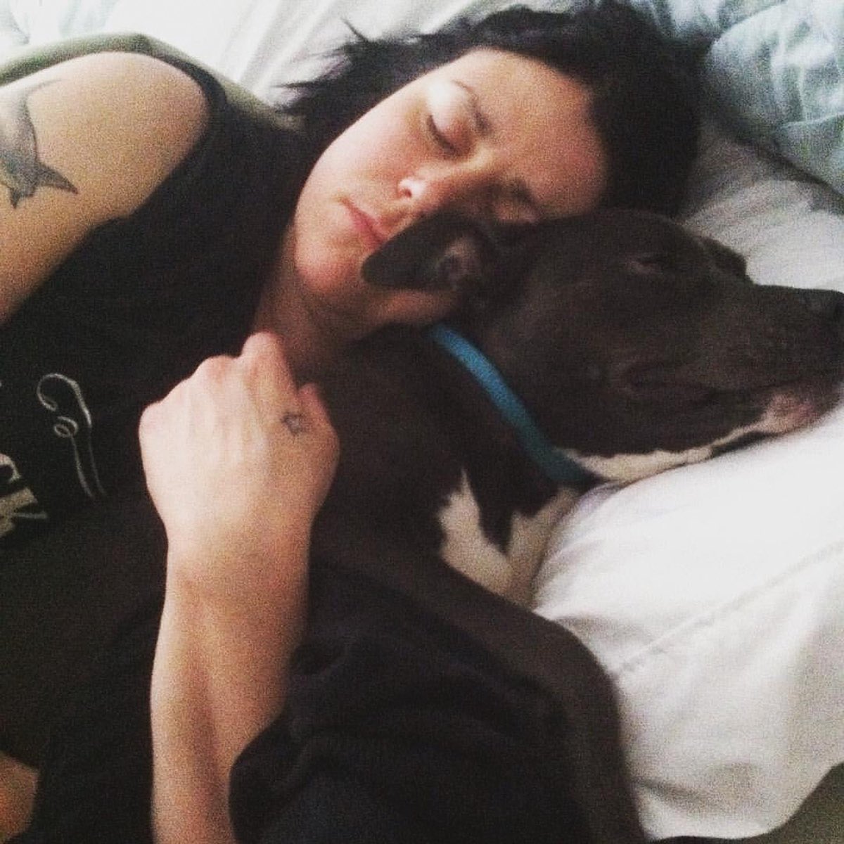 Find Our Missing tweet media