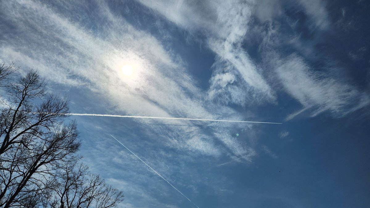 TooLateBlue tweet media