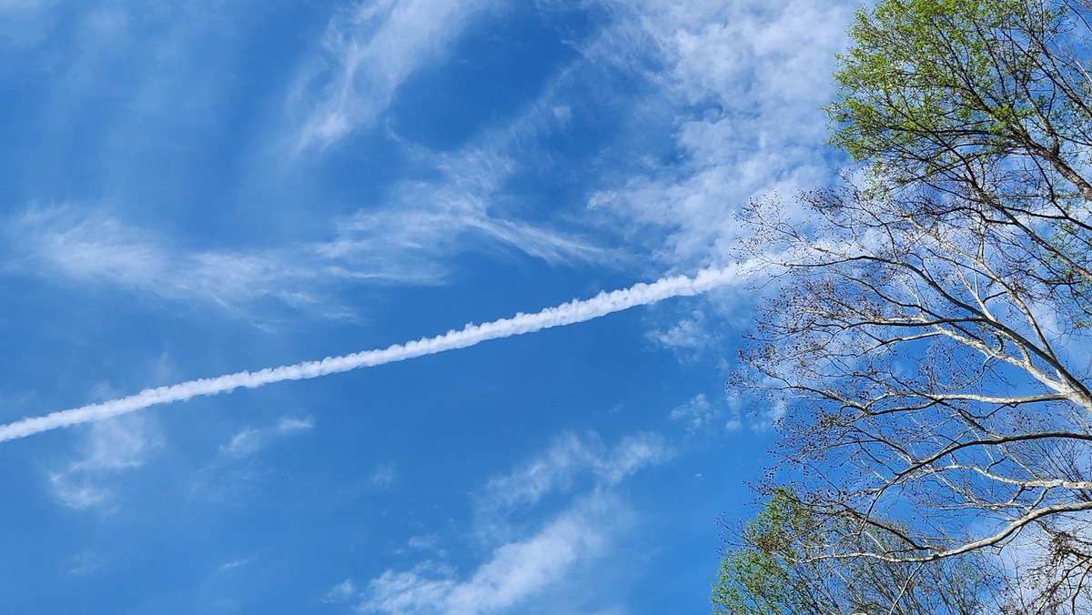 TooLateBlue tweet media