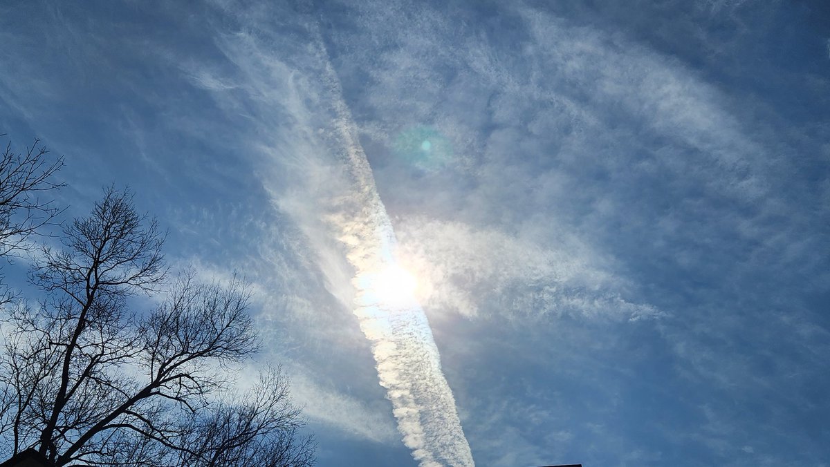 TooLateBlue tweet media