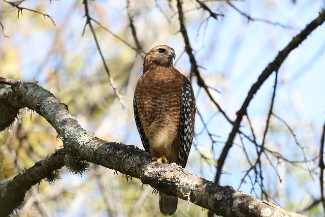 Rebecca Mendoza tweet media