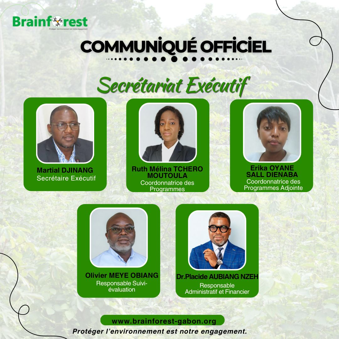 Brainforest Gabon tweet media
