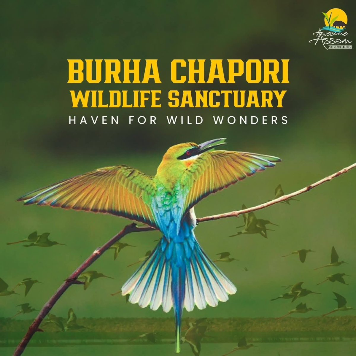 Awesome Assam tweet media