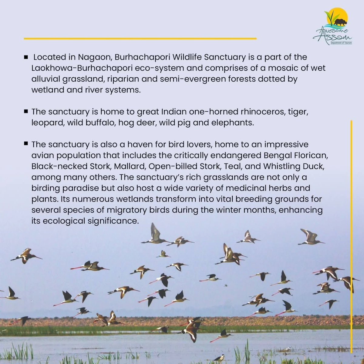 Awesome Assam tweet media