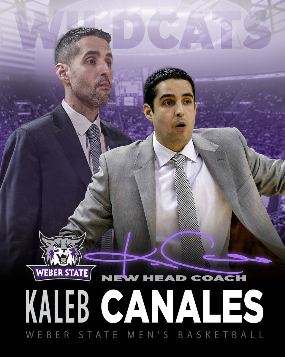 Weber State Men’s Basketball tweet media