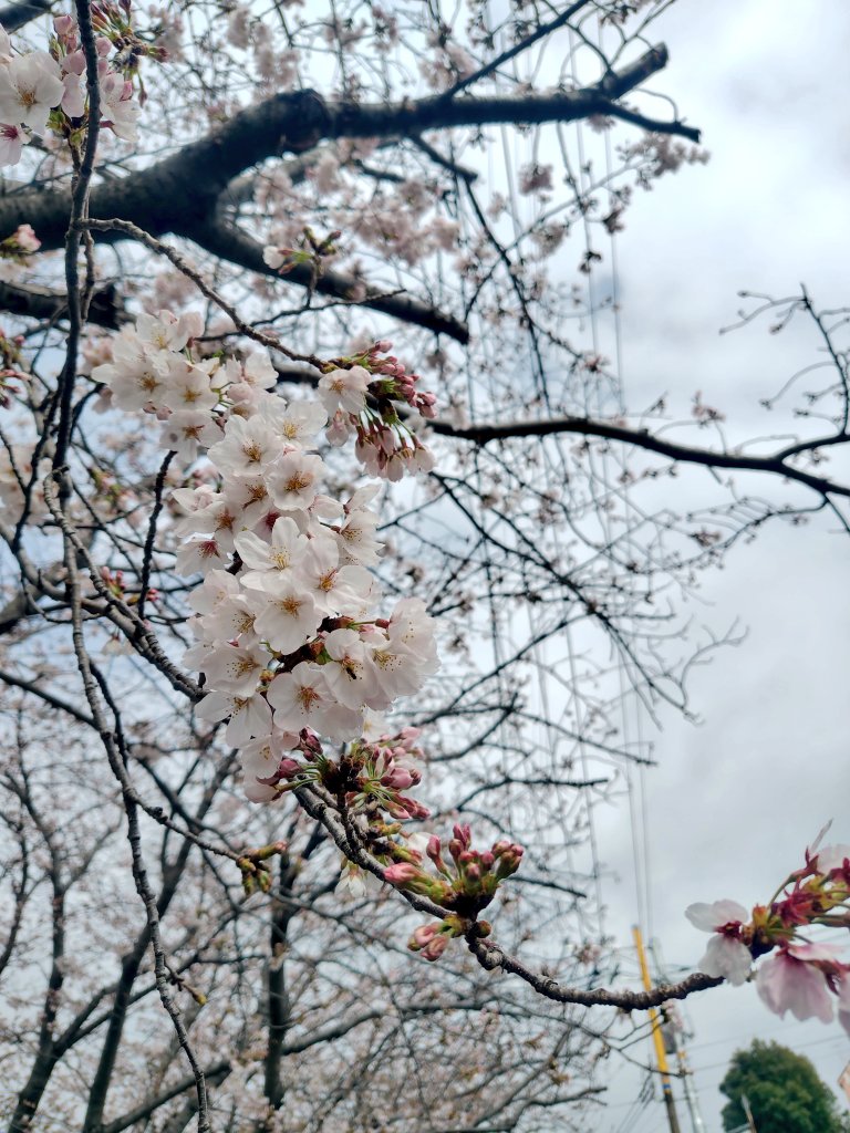 み。🏊️ tweet media