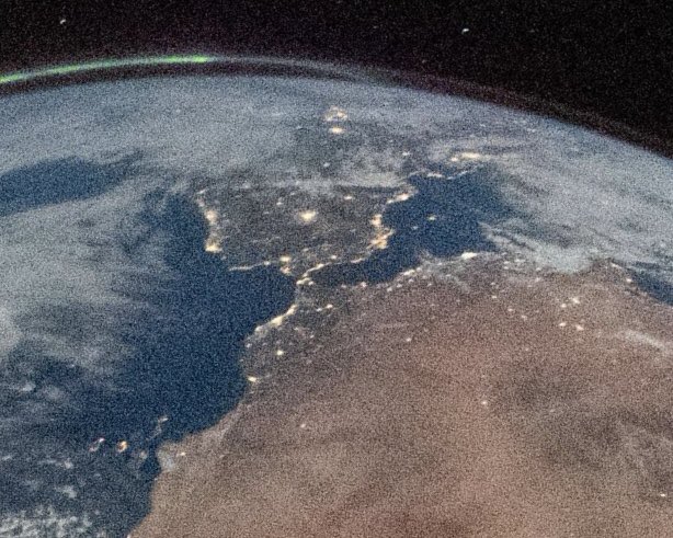 Max Evans tweet media