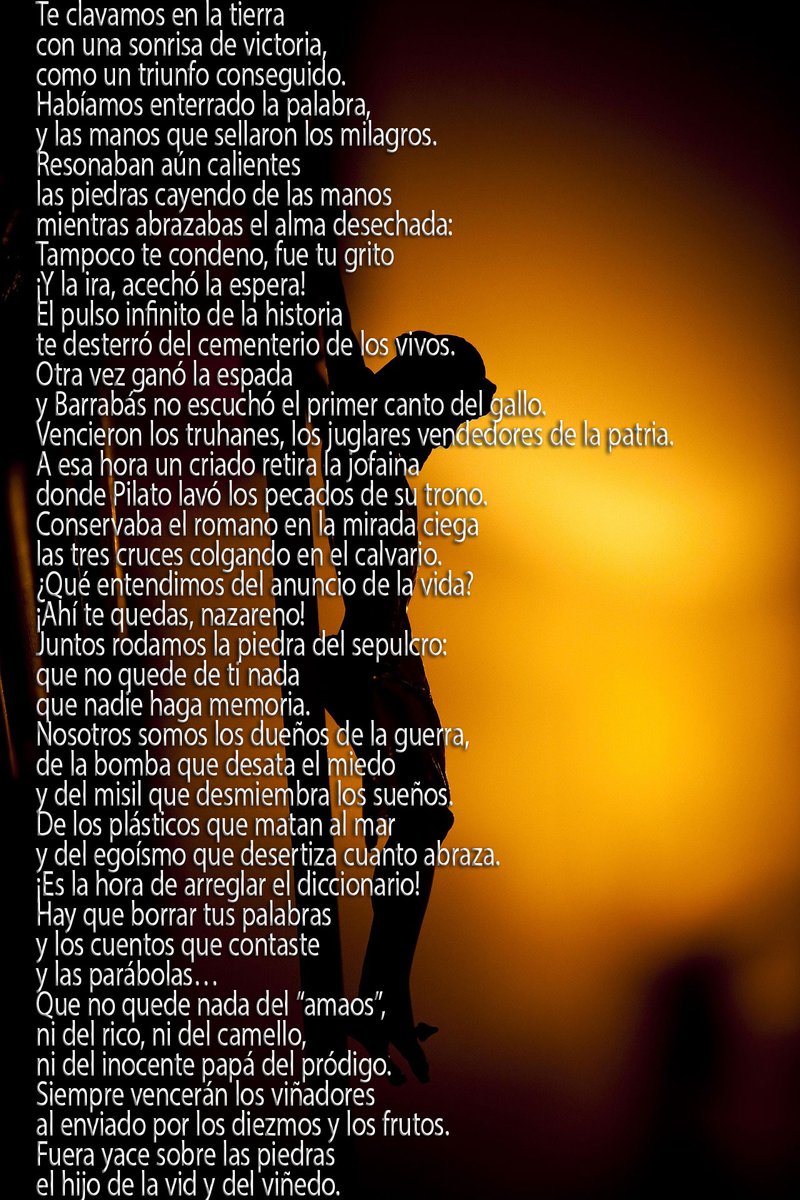 n.puente tweet media