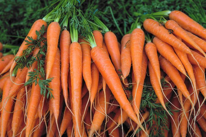 AnythingJJKBot's tweet photo. Mimiko bought Sukuna some carrots https://t.co/E1PIm8FRAi