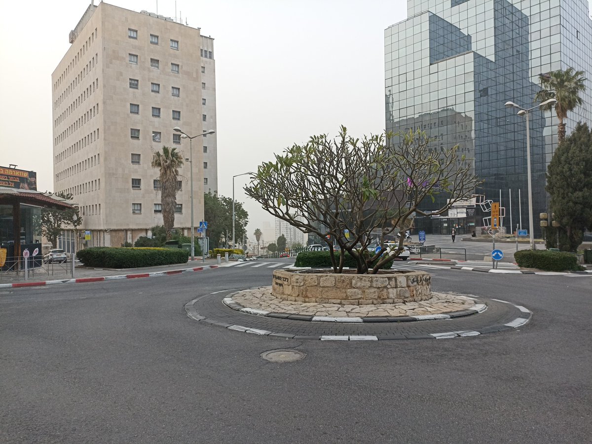 Sergy, Haifa cyclist🚵🇮🇱 tweet media