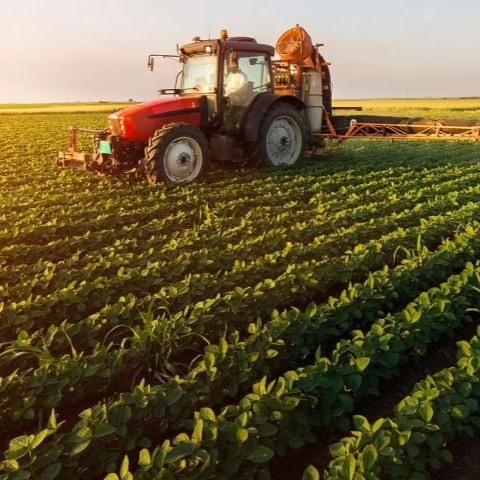 FactPost tweet media