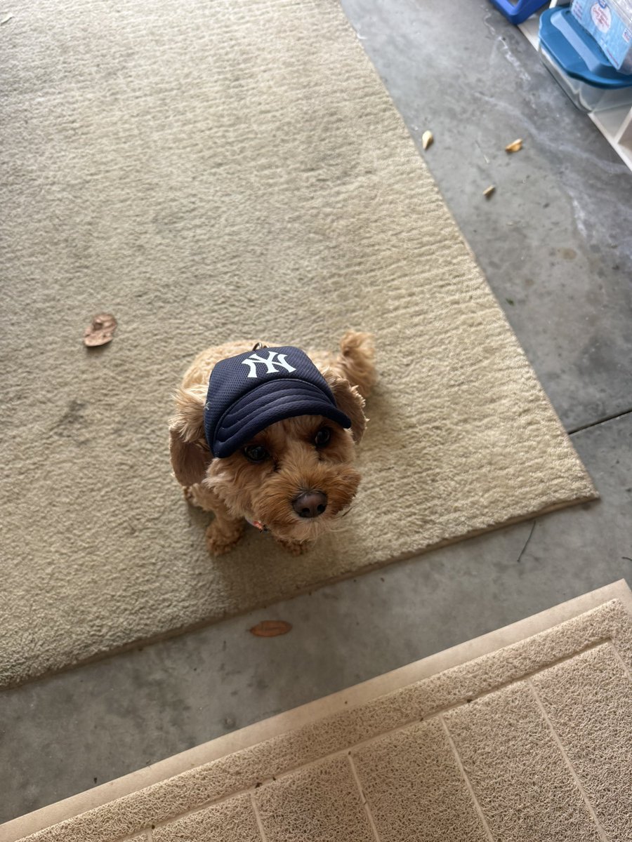 Sarah|🗽🌸 tweet media