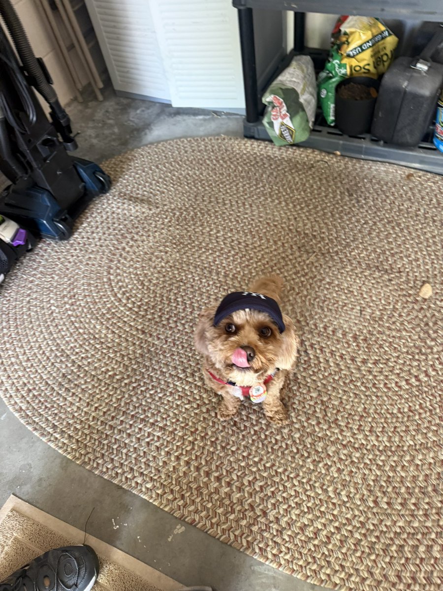 Sarah|🗽🌸 tweet media