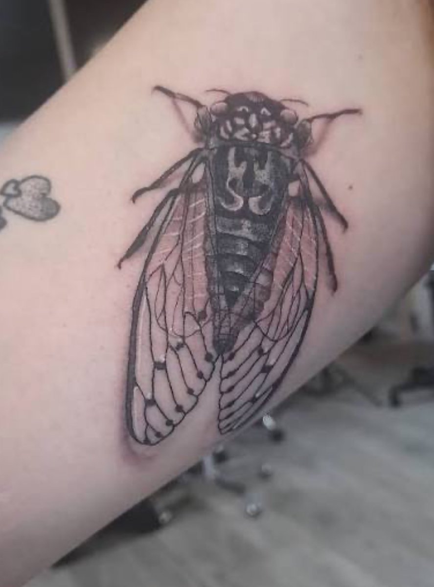 PeteVan Feetfinder Acc tweet media