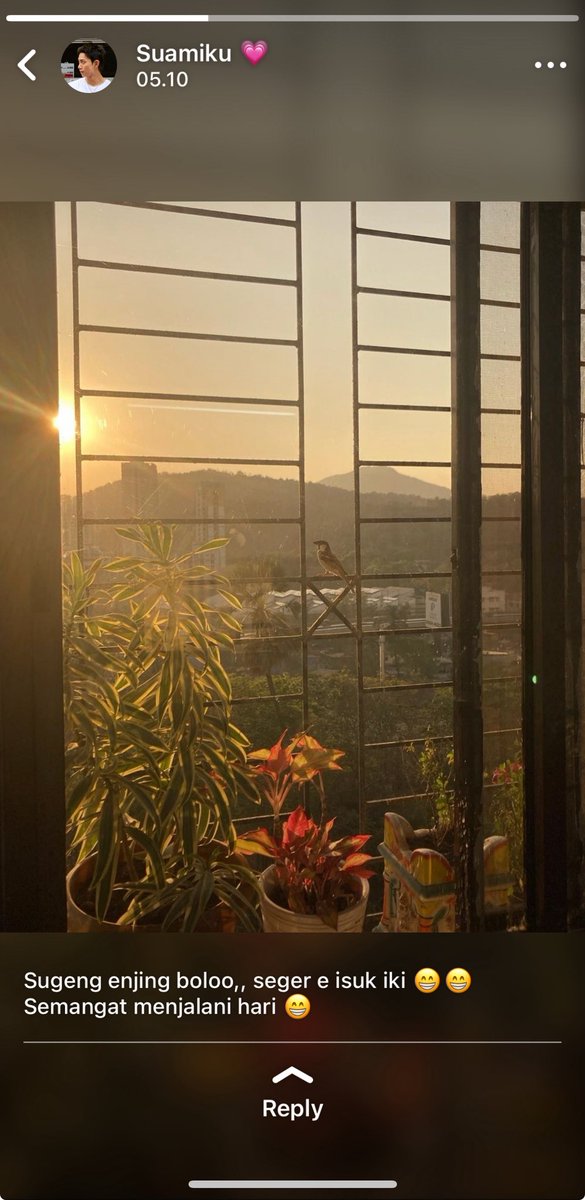 iyel 🍓 tweet media