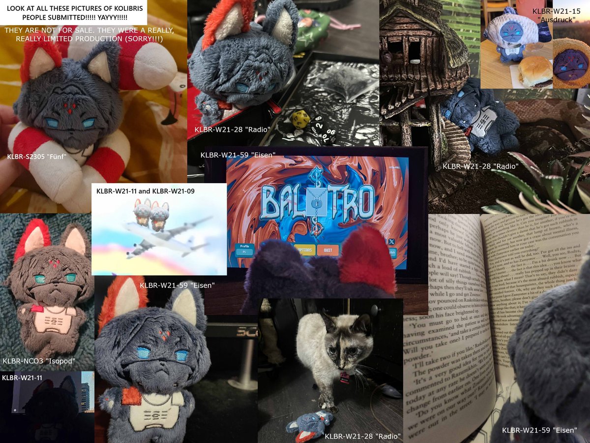 wolverror's tweet photo. The raffle's closed! 
Congratulations to the winners, who have already been messaged! 🫡 Exactly one person got 100%, one person got 75%, and three people got 50%. Since it's so few, I just added extra prizes anyway LOL
Thank you again for all your support! 

How well did you do? https://t.co/EHjktkzhou
