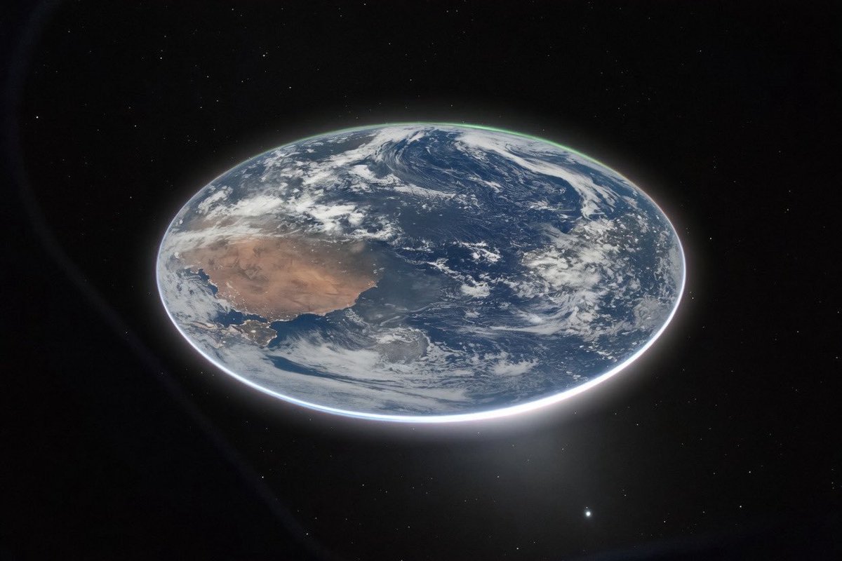 ابو دانتي - ماجد الحربي tweet media