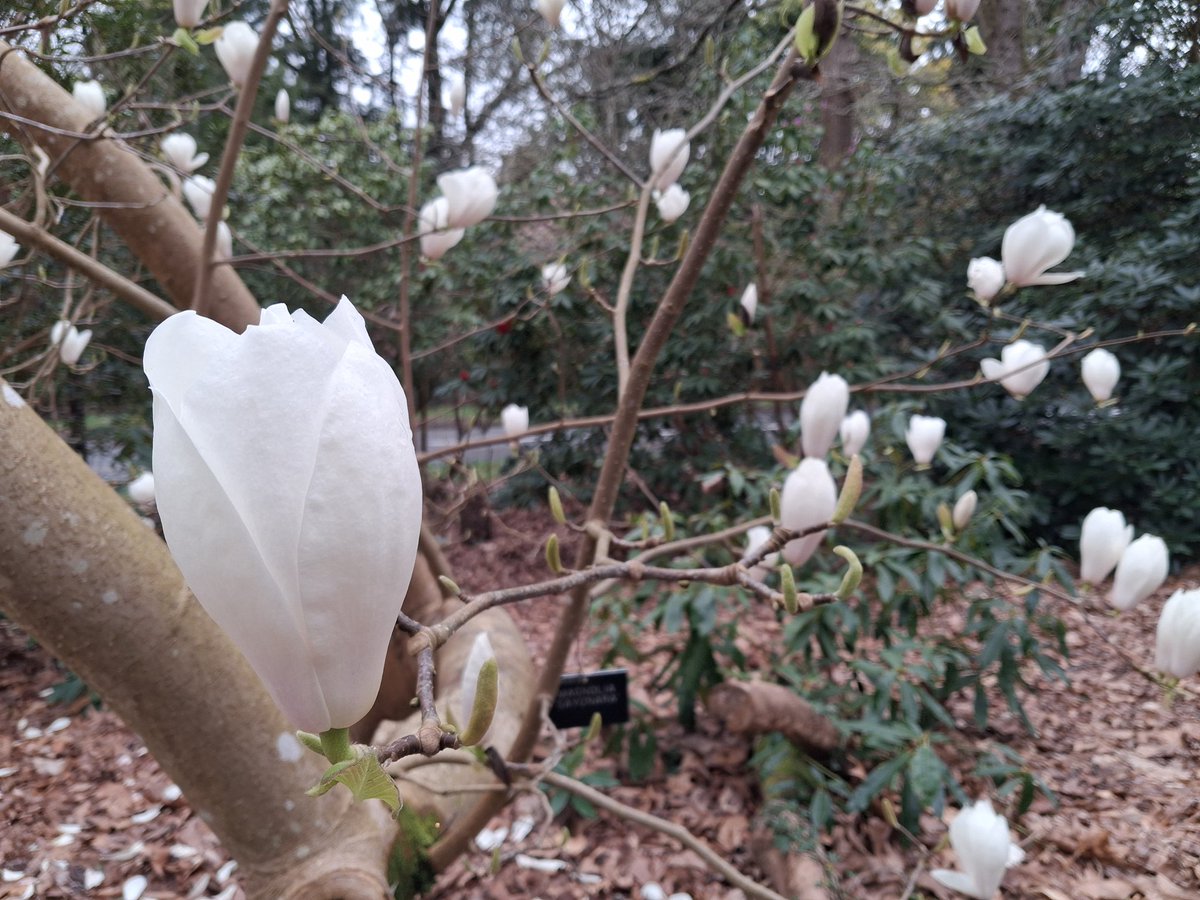 Cycling Trucker tweet media