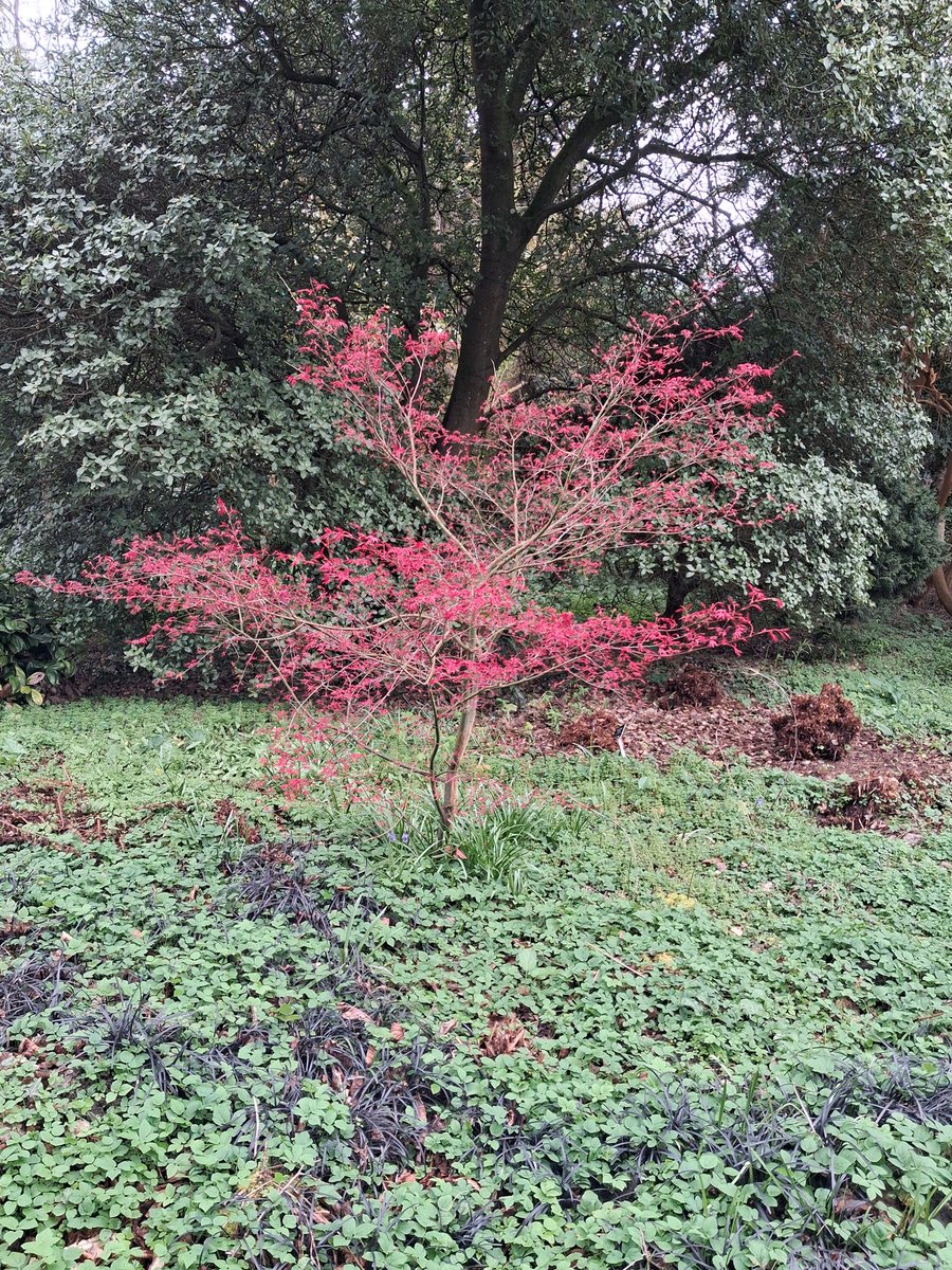 Cycling Trucker tweet media