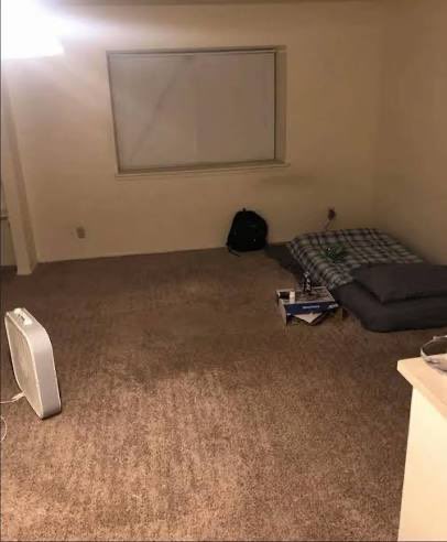 bear ☆ tweet media