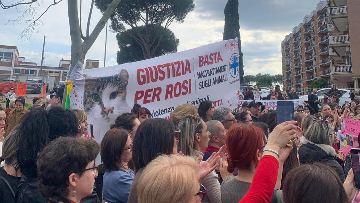 Repubblica Roma tweet media