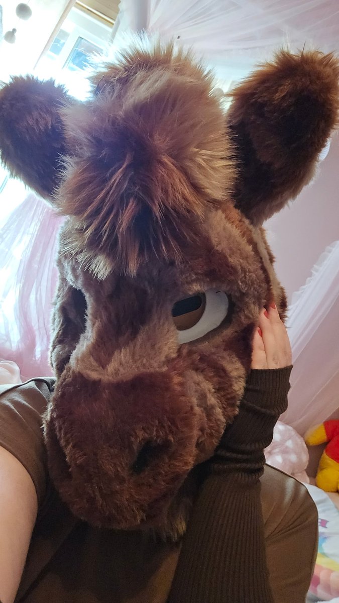 Rosco_Samara's tweet photo. Feeling cute, might delete later 🤭

 #fursuit #fursuitnsfw  #bifurry #furrynsfw #murrsuit #mursuit #furrylove #fursuit #furry #furryfemboy #fursuit #gayfurry https://t.co/uUJWcW9lcW