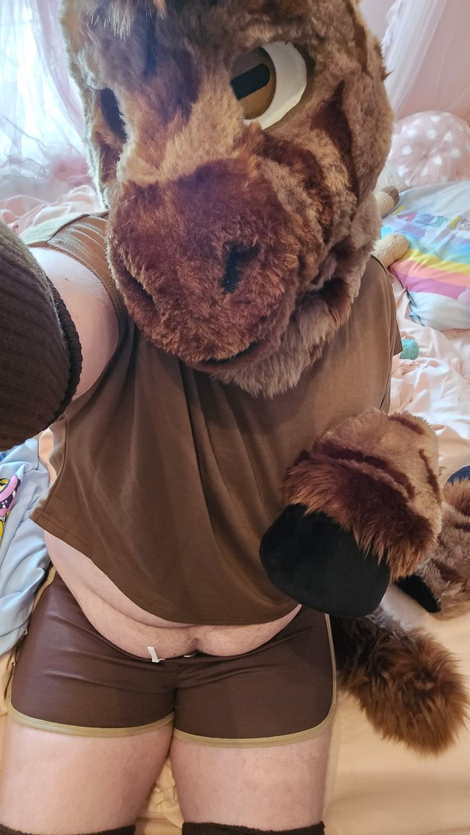 Rosco_Samara's tweet photo. Feeling cute, might delete later 🤭

 #fursuit #fursuitnsfw  #bifurry #furrynsfw #murrsuit #mursuit #furrylove #fursuit #furry #furryfemboy #fursuit #gayfurry https://t.co/uUJWcW9lcW