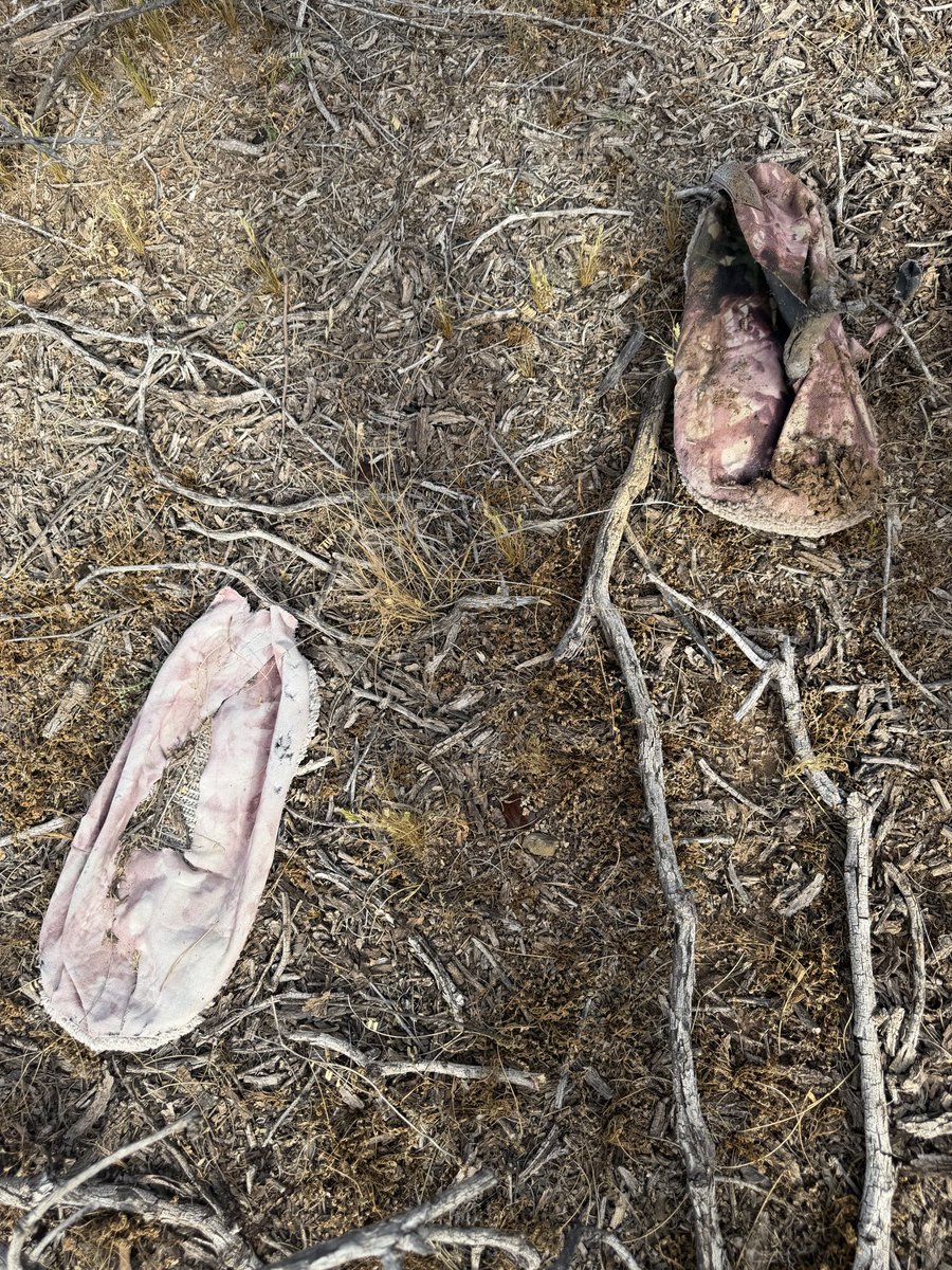 Dad's Gone Live tweet media